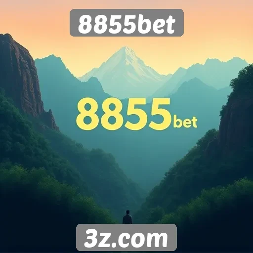 Análise da interface do site 8855bet